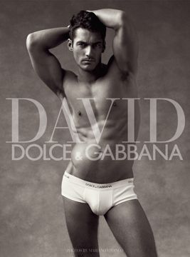 David by Dolce & Gabbana