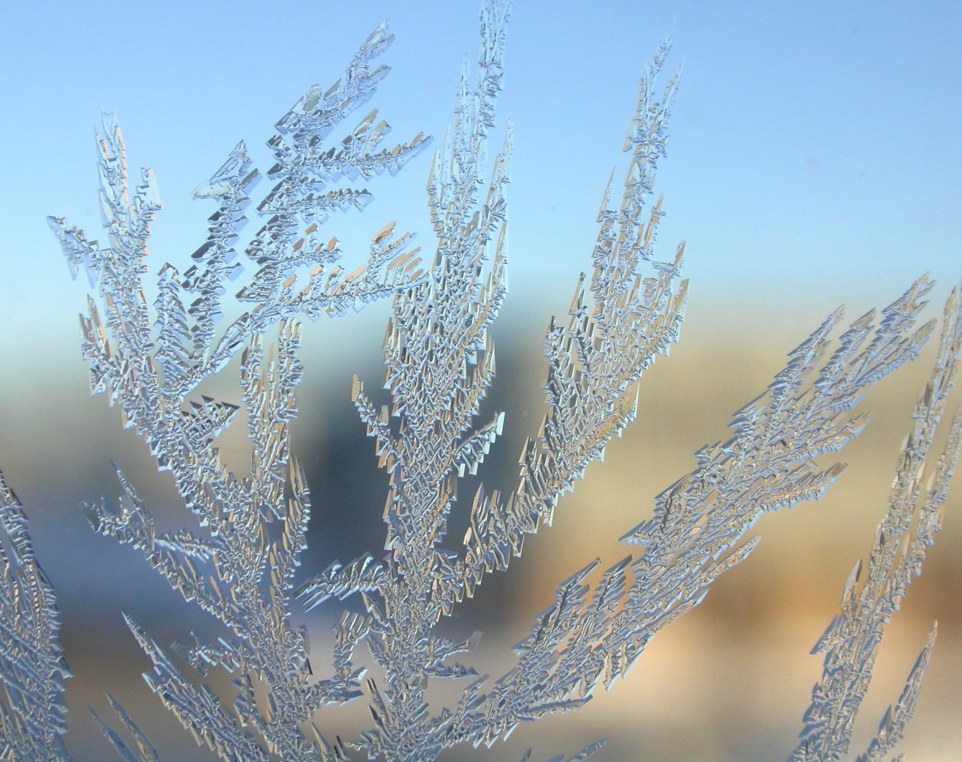 windowfrost